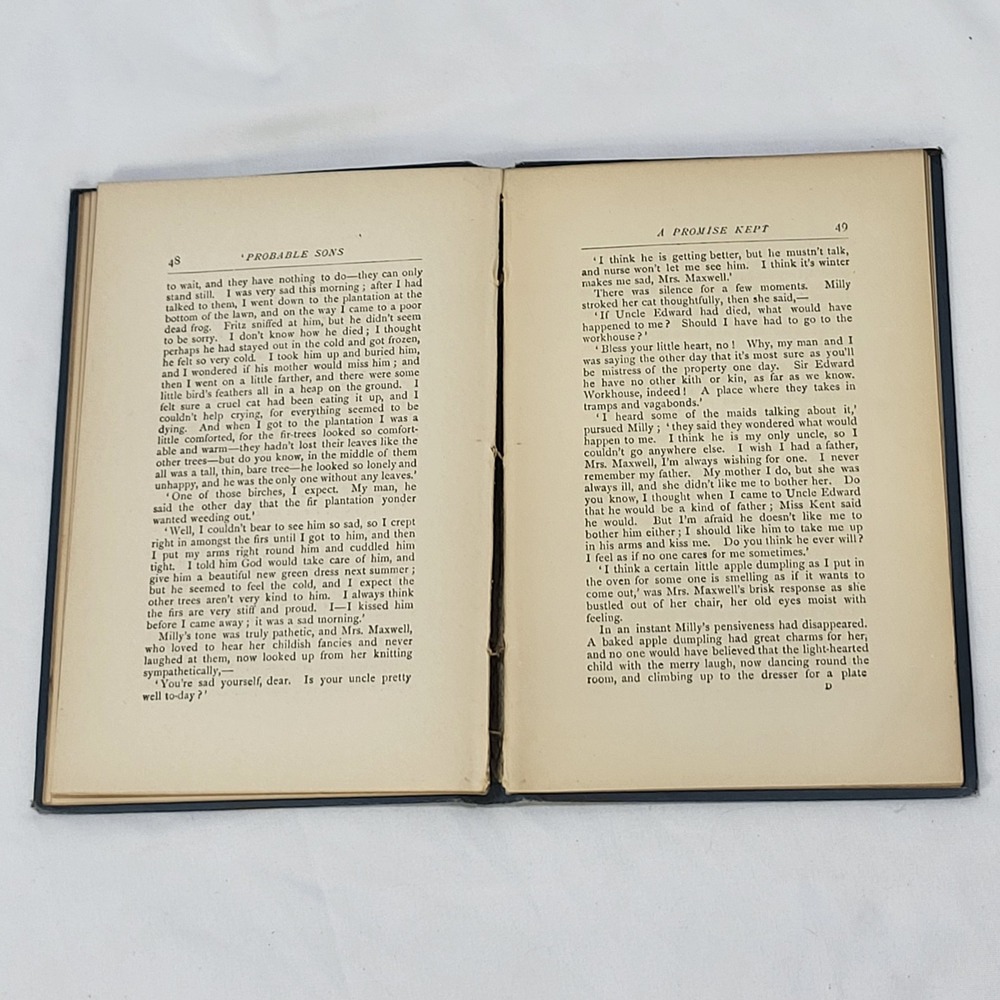 Probable Sons Amy Le Feuvre Antique 1900s Tract Society Victorian Hardcover - Picture 10 of 14